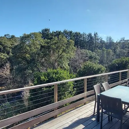 Corse Et Zen Sur Les Bois 85m2 5a7 Pers Villa *